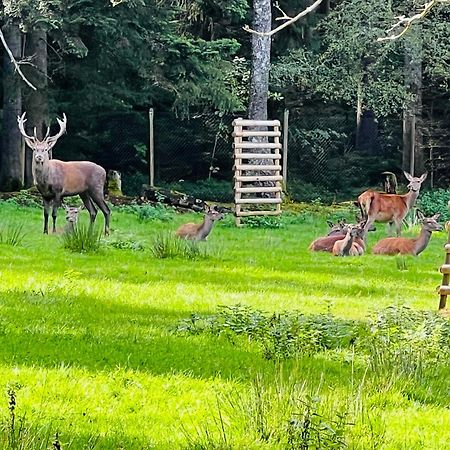 Ferienwohnung Schwarzwald Lodge Schömberg Buitenkant foto