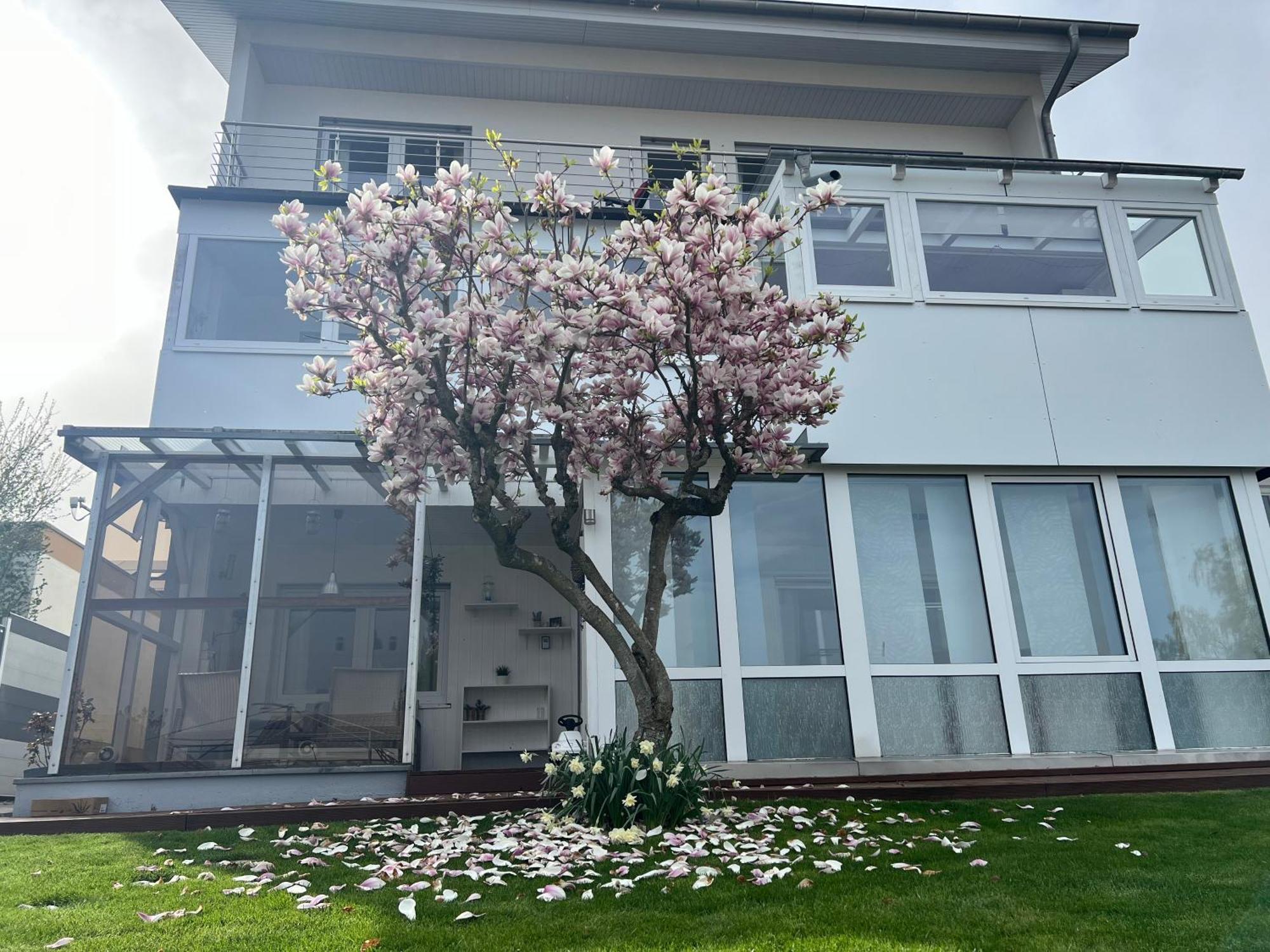 Ferienwohnung Schwarzwald Lodge Schömberg Buitenkant foto